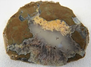 DIG-N-UTAH: PLATTE OREGON THUNDEREGG ROUGH CAB ACHAT PLUME # J 244 - Bild 1 von 4