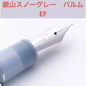 Ginzan Penna Stilografica Grigio Neve Palm Ef - Foto 1 di 8