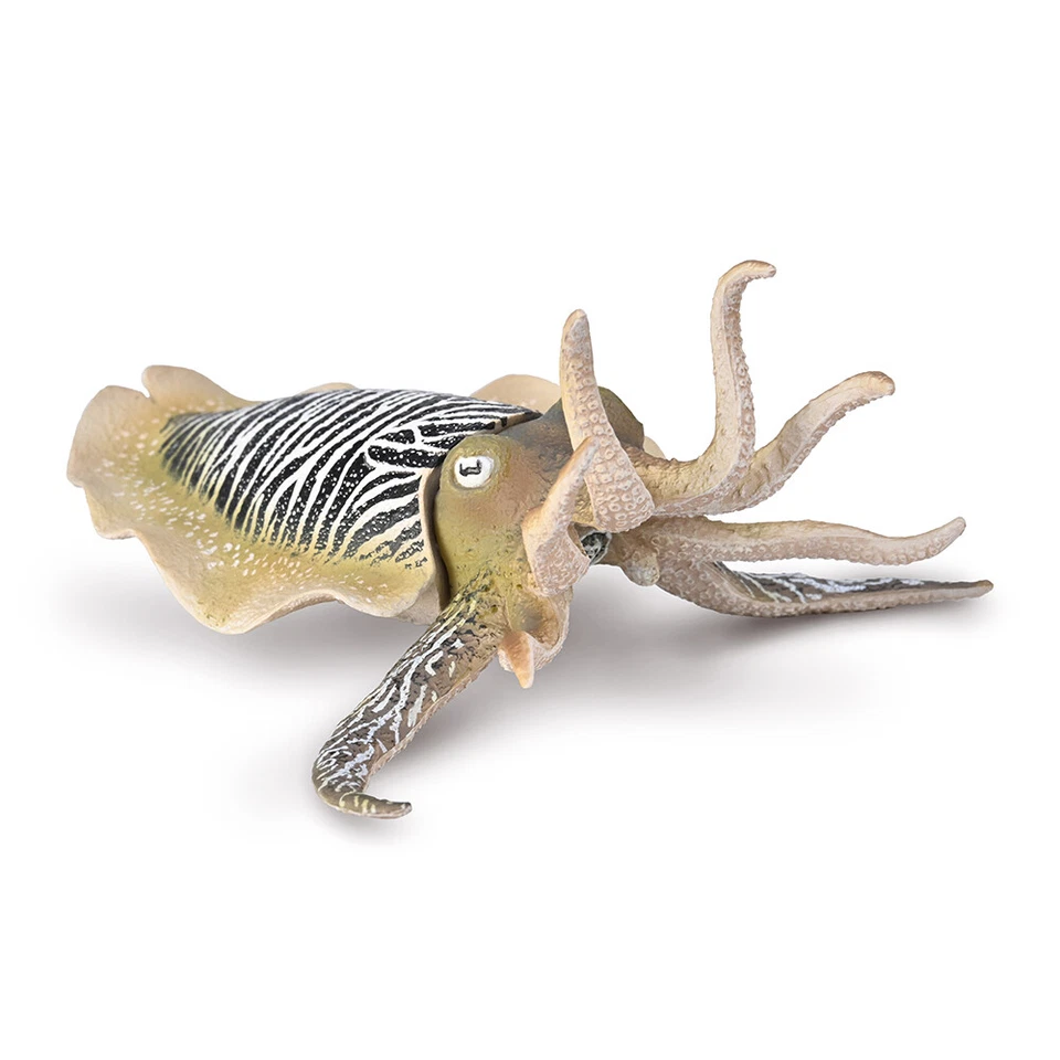 CollectA Common Cuttlefish, Realistic Hand-Finished Sea Life Creature