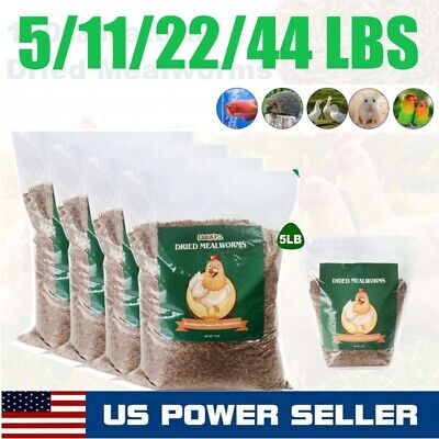 Dried Mealworms Non-GMO Wild Blue Bird Chickens Hen Food Treats 5/11/22/44 LBS • 33.98$