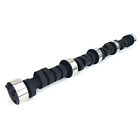 Comp Cams 11-234-3 Bbc Extreme Energy Cam Xe256H-10 Camshaft, Xtreme Energy, Hyd