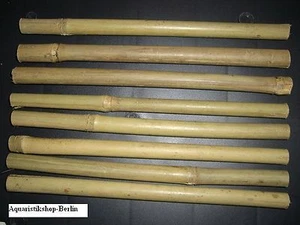 ** 8 ** Barras a` 20 cm Bambú - Bambú, camarones, salsa / construcción de pared posterior *NUEVO* - Imagen 1 de 1