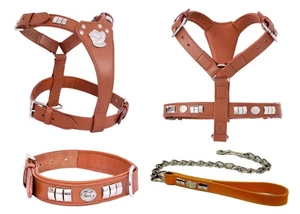 Staffy Hund hellbraun Leder Geschirr Halsband Kette Leine Chrom Hundegesicht Comfort Fit Set - Bild 1 von 6