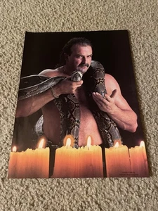 Vintage 1991 JAKE THE SNAKE ROBERTS WWF Wrestling Pinup Photo Clipping 1990s WCW - Picture 1 of 1
