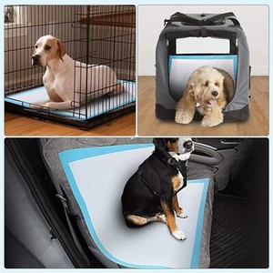 35 Pet Training Dog Pee Pads 32" x 36" Disposable Pee Pads XXL Training Pads - Picture 1 of 4