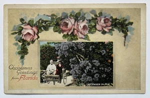 Weihnachts Postkarte Antik Dezember in Florida Mann Frau Kutsche um 1919 unverpostet - Bild 1 von 3