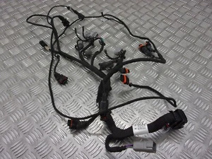 Can Am Spyder F3 1330 2016 edición especial cableado motor telar arnés WB - Imagen 1 de 5
