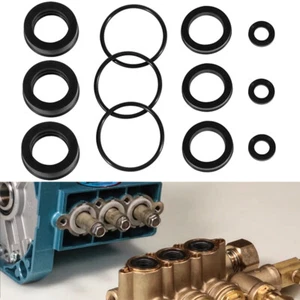 76975 Water Packing Seal Kit For Cat Pump 4DNX Series Pressure Washer Pump - Picture 1 of 10