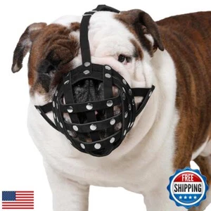 CollarDirect Leather Basket Dog Muzzle for Boxer, English American Bulldog Se - Picture 1 of 5