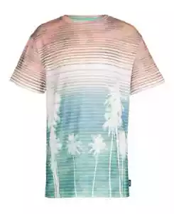 Univibe Carter Palm Print Short Sleeve Crew T-Shirt Big Boys M Coral Multi - Picture 1 of 16