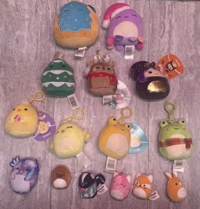 Lot of 15 Squishmallows different sizes, key chains some with tags on them - Picture 1 of 6
