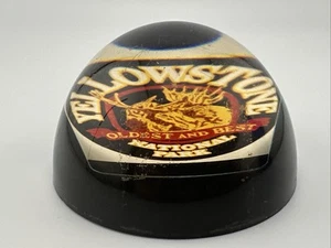 Vintage Yellowstone National Park Dome Acrylium Resin Paperweight Souvenir - Picture 1 of 6