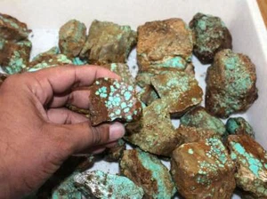 ¡Raro! Piedra preciosa natural turquesa de Nevada en bruto para fabricación de joyas y artesanía - Imagen 1 de 7