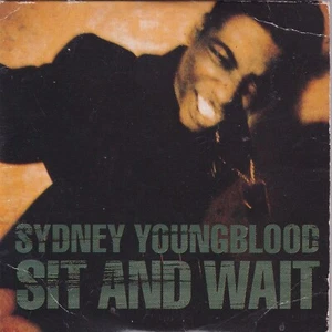 SYDNEY YOUNGBLOOD - Sit and wait 3TR 3-inch CDS 1989 CIRCA Records - Picture 1 of 1