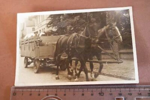 gran foto antigua - Conducción de caballos - ¿Caballos 1930-40?? - Imagen 1 de 3