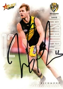 Signed 2019 RICHMOND TIGERS AFL Premiers Card DAVID ASTBURY - Picture 1 of 2