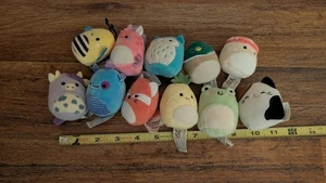 Squishville All Stars Set of 11 Squishmallow Owl Fox Monster Unicorn Hedgehog - Picture 1 of 8