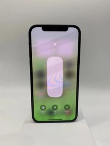 Apple iPhone 12-64GB / 128GB / 256GB 4GB RAM Wszystkie kolory Odblokowany 6,1" Telefon komórkowy9/10 - Zdjęcie 1 z 7