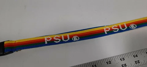 Vintage rainbow Penn State Nittany Lions Lanyard Key Ring MCM PSU Cover