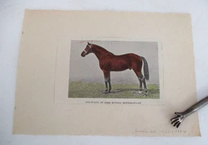 Antique Color Print of Racehorse & Influential Sire SON-IN-LAW by Dark Ronald - Picture 1 of 2