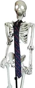 Rare Find Golf Collectible Made Expressly For PGA Navy & Red Stripe Necktie - Picture 1 of 7