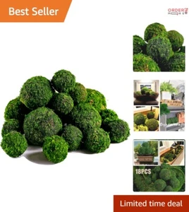 Moss Balls Decorative Set 18pcs Natural Dried Centerpiece Filler No Care Needed - Picture 1 of 9