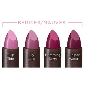 Burt's Bees 100% Natural Lipstick ~ Choose Your Shade - Picture 1 of 10