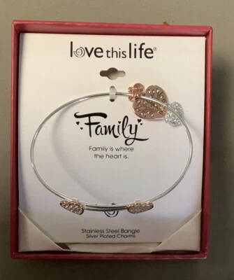 Pulsera y dijes familiares Love of Life chapados en plata fina/acero inoxidable Foto 1 de 4