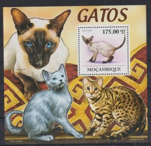 G627. Mozambique - MNH - 2011 - Naturaleza - Animales - Gatos - Bl. - Imagen 1 de 1