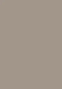 BRUNNEN 105125085 Universalpapier A4 80g taupe 50Bl - Bild 1 von 1