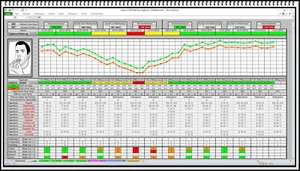 Peak Flow Meter Protokoll Asthma Ampel Excel Liste COPD Werte Auswertung Vorlage - Bild 1 von 4