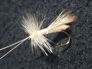 ELK HAIR CADDIS SLICK WATER SIZE 12 CUSTOM TIED DRY FLY TAN - Picture 1 of 3
