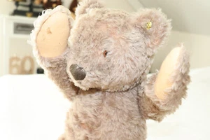 Steiff Bärenkonvolut aus den 50/60 er Jahren u.a. 50 cm Teddy - Bild 1 von 16