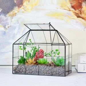 Glass Terrarium House Planter – Succulent Plant Glass Greenhouse with Lid AU - Picture 1 of 8