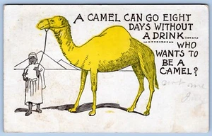 AK Kamel Ägypten Humor handkoloriert um 1907 #C9 - Bild 1 von 2