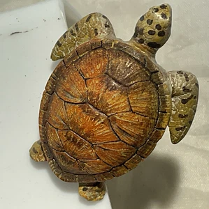 4 Schildkröte Schrankknöpfe Schubladengriffe rustikal maritim Ozean Meer Küche Wohndeko - Bild 1 von 5