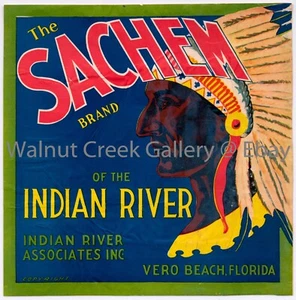 Florida Fruit Crate Label Fine Art Print, Native , approx 10.8"x 11" 12815 - Picture 1 of 1