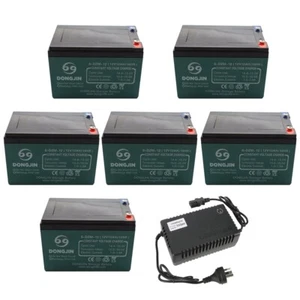 6x 12V 12Ah Battery 6-DZM-12 +72V Charger for Electric Scooter Go Kart E Bike - Picture 1 of 10