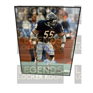 Foto enmarcada de Otis Wilson Chicago Bears 8x10 con certificado de autenticidad - Imagen 1 de 1