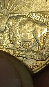 2006 D N Dakota State Quarter Error !!!!!! 5 Legged Buffalo!!!!!!!!! - Picture 1 of 6