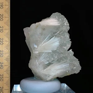 Scolecite spray needles clusters w/ light green Apophyllite crystals Video 236ct - Picture 1 of 9