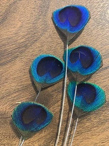 5pcs 30-37cm Stripped Cut Trimmed Peacock Natural Feathers DIY Craft Millinery - Picture 1 of 14