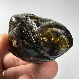 NATURAL MEXICAN AMBER TUMBLED 206.5 Cts / 41.37 Gm REAL AMBER - Picture 1 of 6