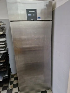 Gewerblicher Klimaschrank Liebherr ProfiLine – 856 L – Top Zustand - Bild 1 von 4
