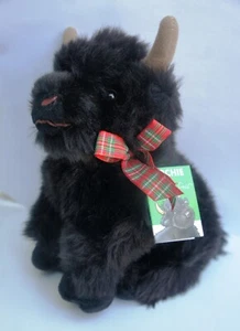 Highland Cow, Archie the calf as it is with a collar, tag gift wrap - 3 options - Bild 1 von 6