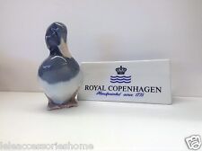 Royal Copenhagen Figurine - Moretta - Tufted Duck Standing Tall With Head Down