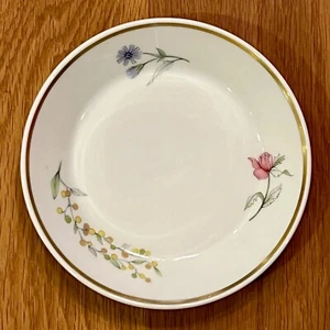 RICHARD GINORI Primavera Teacup Saucer 5 ½” Diameter Fine Bone China from Italy - Picture 1 of 6