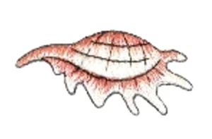 SHELL- IRON ON PATCH APPLIQUE - Picture 1 of 1