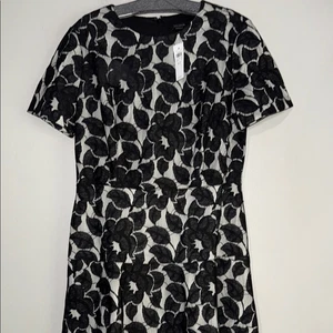 Ann Taylor Kleid mit Blumenspitze 10 - Bild 1 von 14