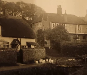 Somerset:  Holford Nr Bridgwater - Bygone View On An Original Photograph. - Picture 1 of 2